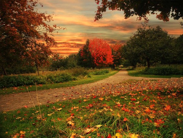 Очарование осени