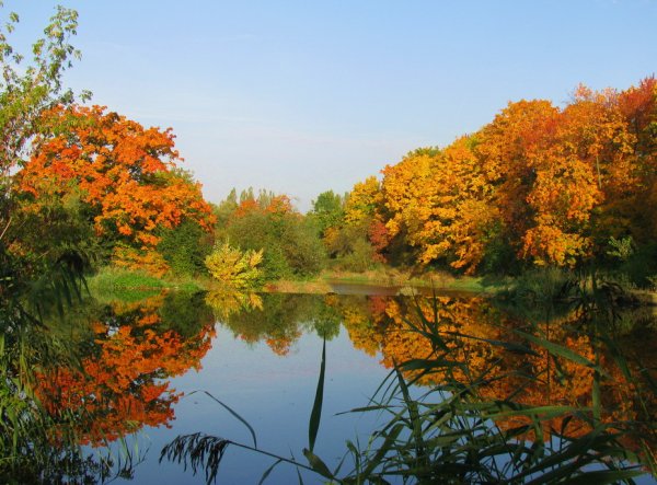 Пышное природы увяданье