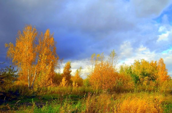 Унылая осень