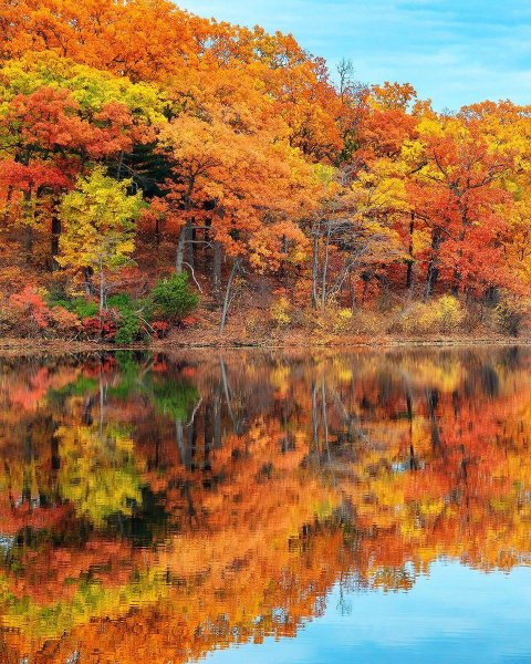 Осенняя пора