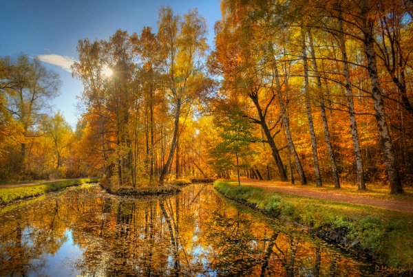 Осень прекрасная пора