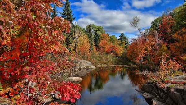 Кленовые Рощи в Канаде