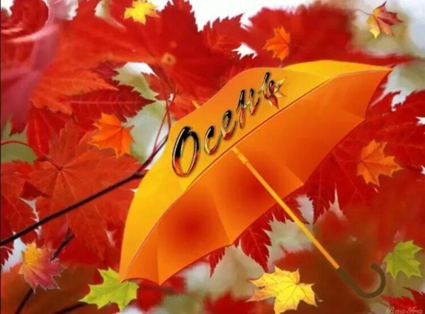 Осенние открытки