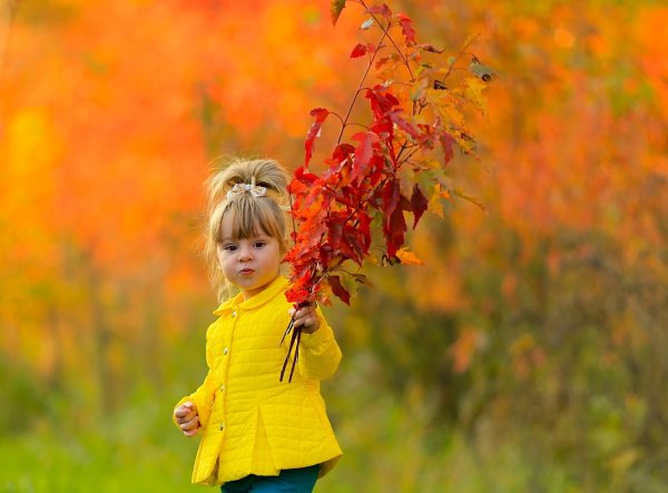 Осень прекрасная пора
