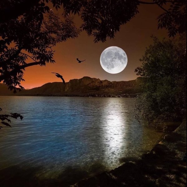 Луна над озером