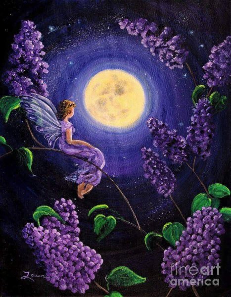 Лаура Иверсон