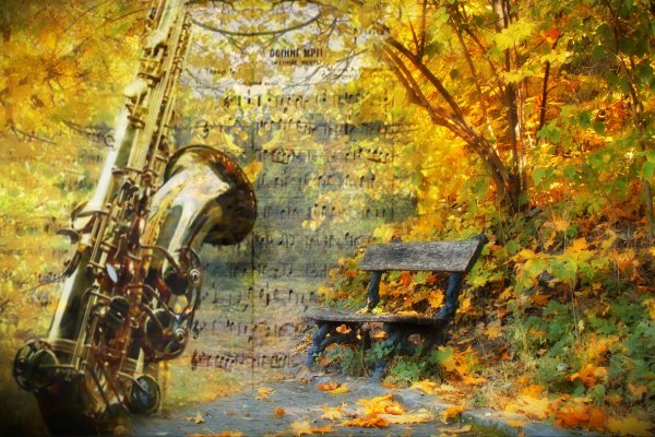 Осенний блюз саксофон