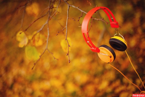Осень в наушниках