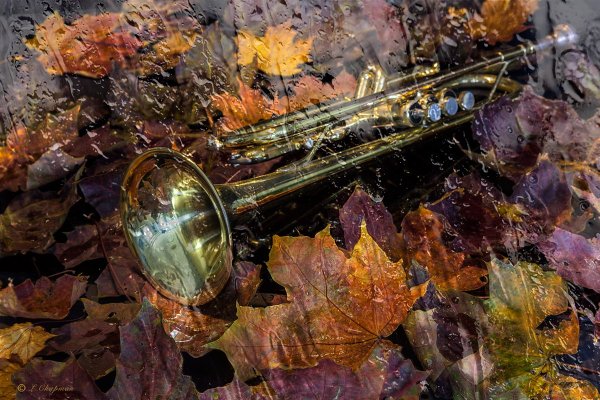 Саксофон в листьях