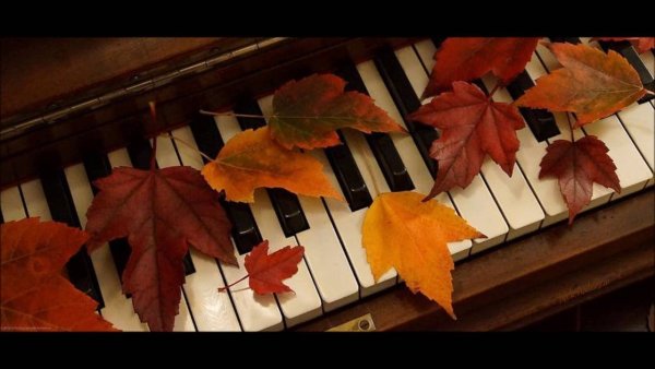 Осенние листья на рояле