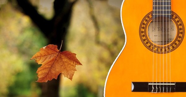 Осенняя гитара