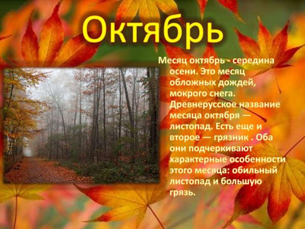 Стихи про осень для детей октябрь