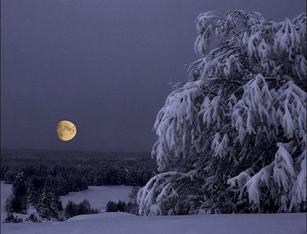 Лунная зимняя ночь