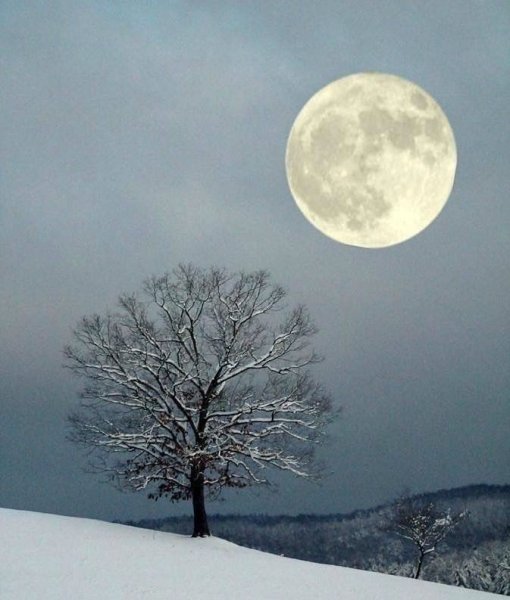 Зима Луна