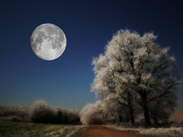 Полнолуние зима