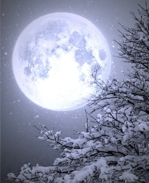 Лунная ночь зимой