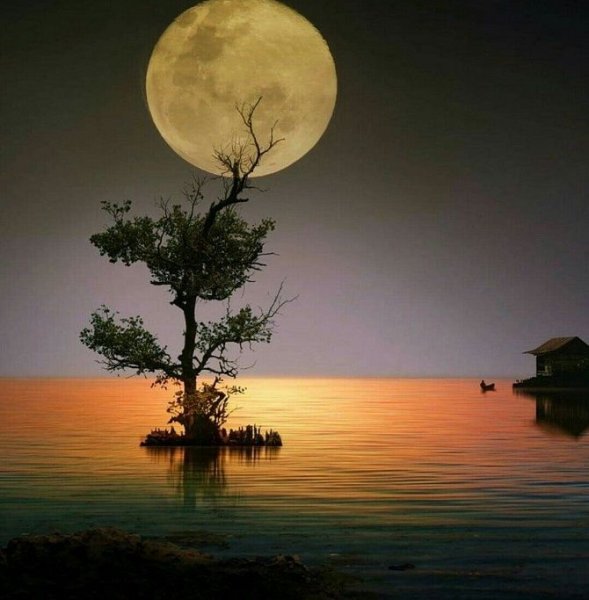 Лунная ночь в августе