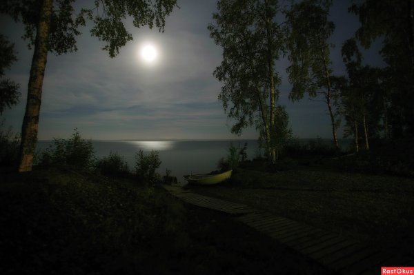 Лунная ночь в деревне