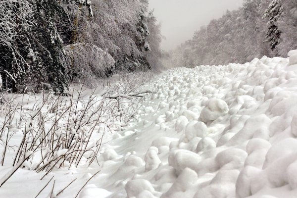 Заметает зима