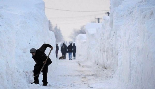 Замело снегом