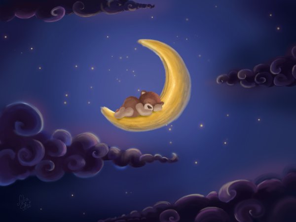 Спокойной ночи Лейла