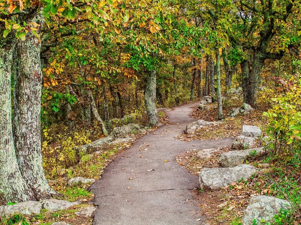 Замок Лесная тропа Сукко