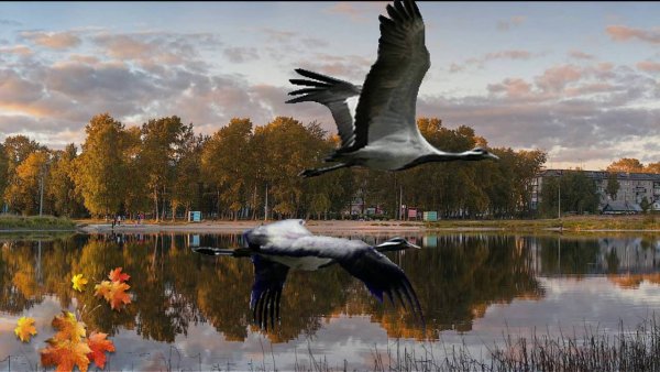 Осень Журавли