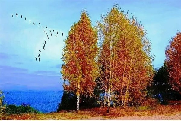 Клин журавлей осень