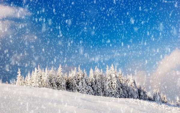 Зимний снегопад