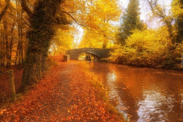 Осень мост река