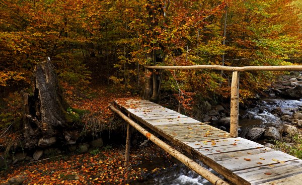 Мостик через речку