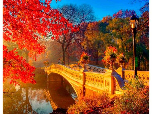 Красивая осень