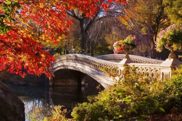 Осенний парк с мостиком