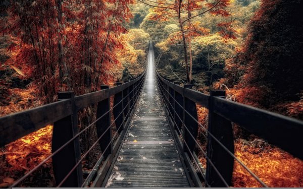 Природа мостик