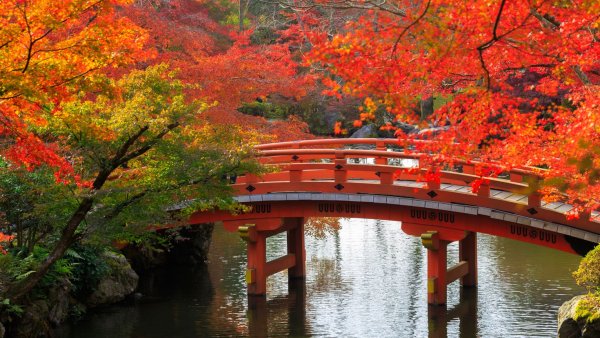 Киото Япония осень