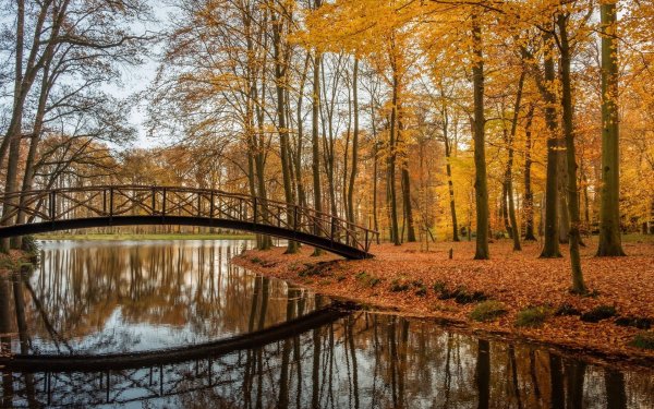 Озеро осень мост Версаль