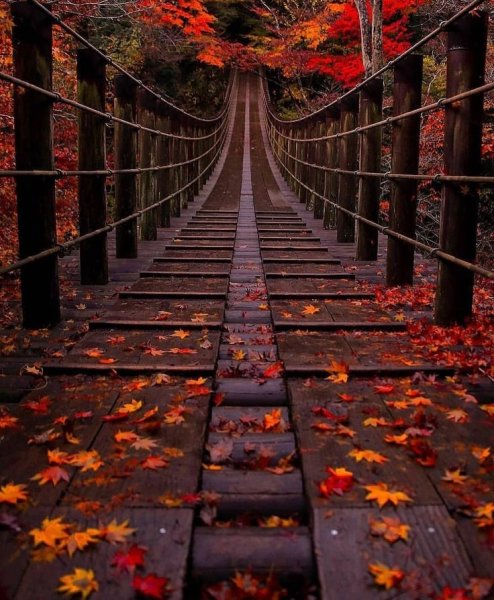 Осенний мост