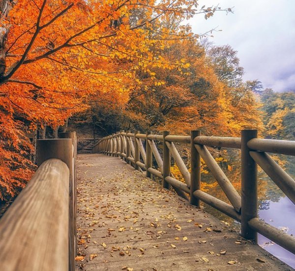 Осенний мост