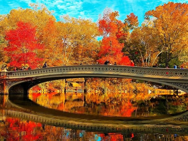 Картинки на рабочий стол осень