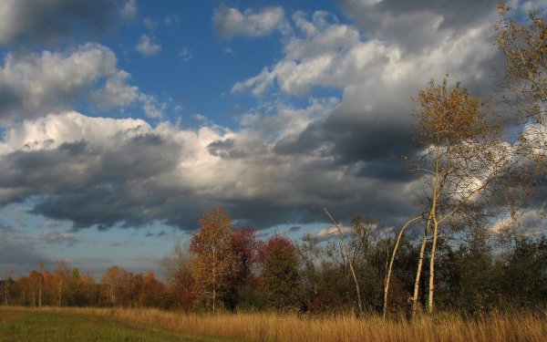 Небо поздней осенью