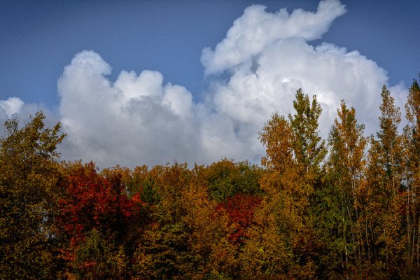 Кучевые облака осенью