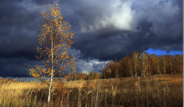 Пасмурная осень