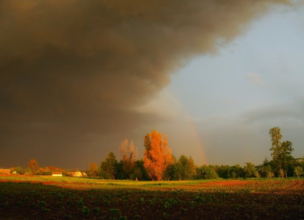 Перед дождем
