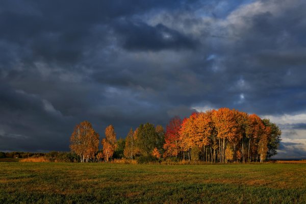 Осенняя гроза
