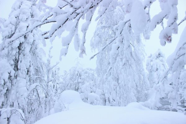 Снега-снега кругом снега