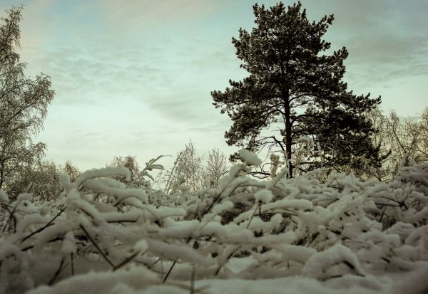 Снег кругом