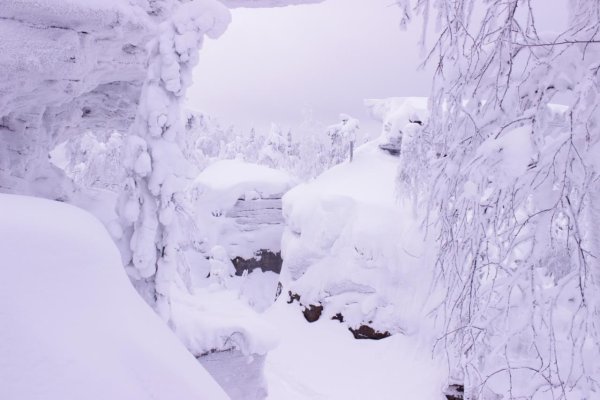 Зима зима кругом снега