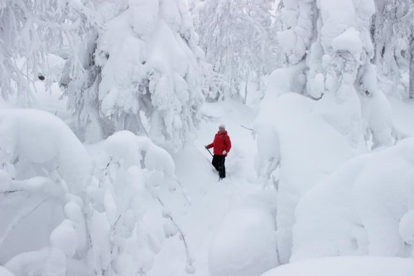 Снега-снега кругом снега