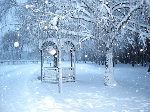 Снег кругом снег