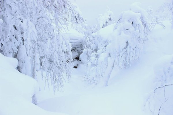 Зима зима кругом снега